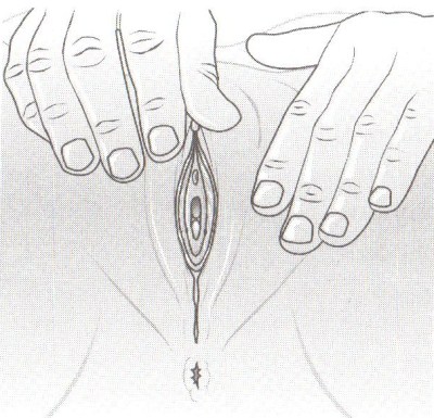 ženský orgazmus Ako dosiahnuť 15 minútový ženský orgazmus? zensky orgazmus4400 x 385